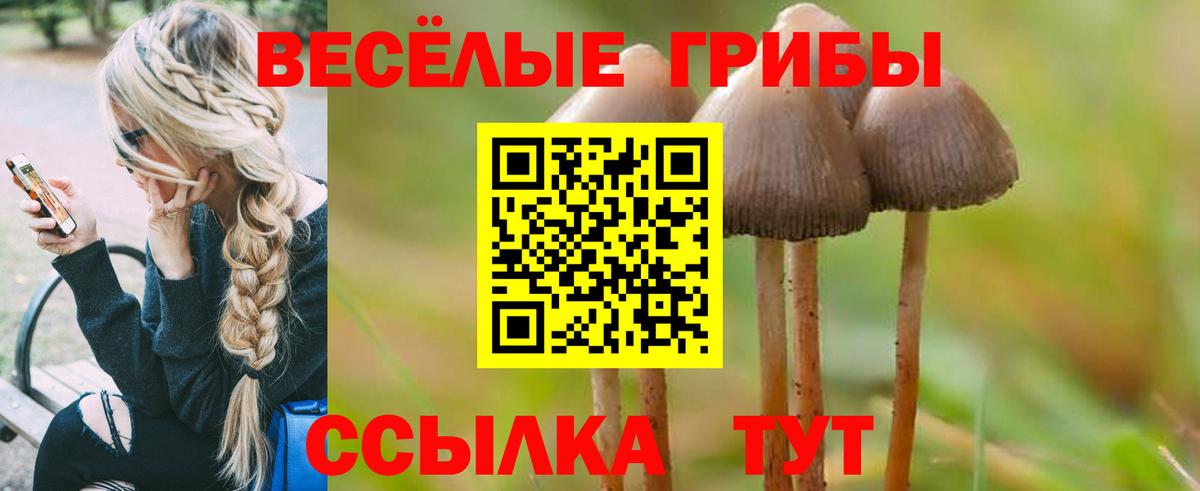 Псилоцибиновые грибы ЛСД  Вход с VPN  Лысьва 